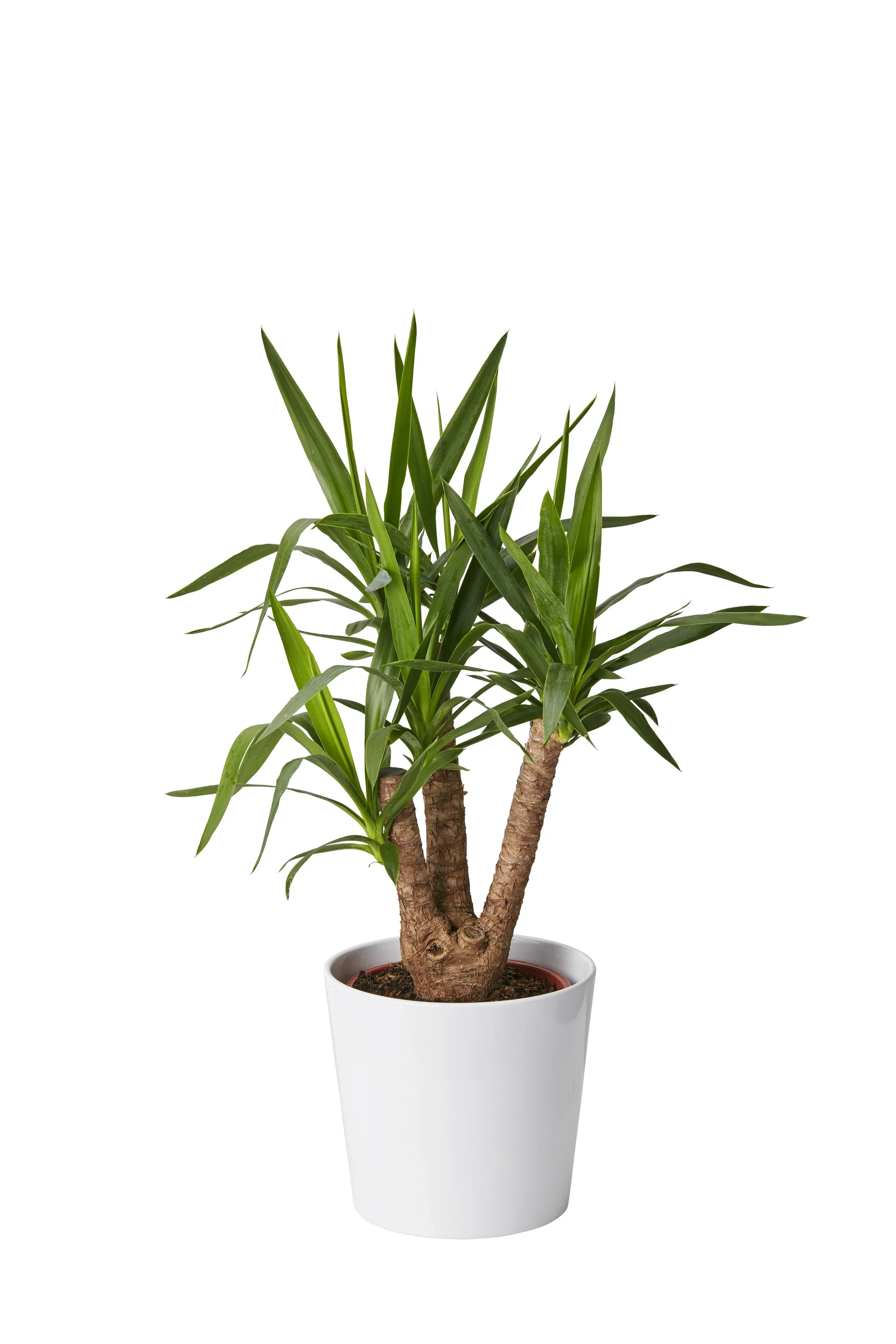 Harmoni pot D28,5 white