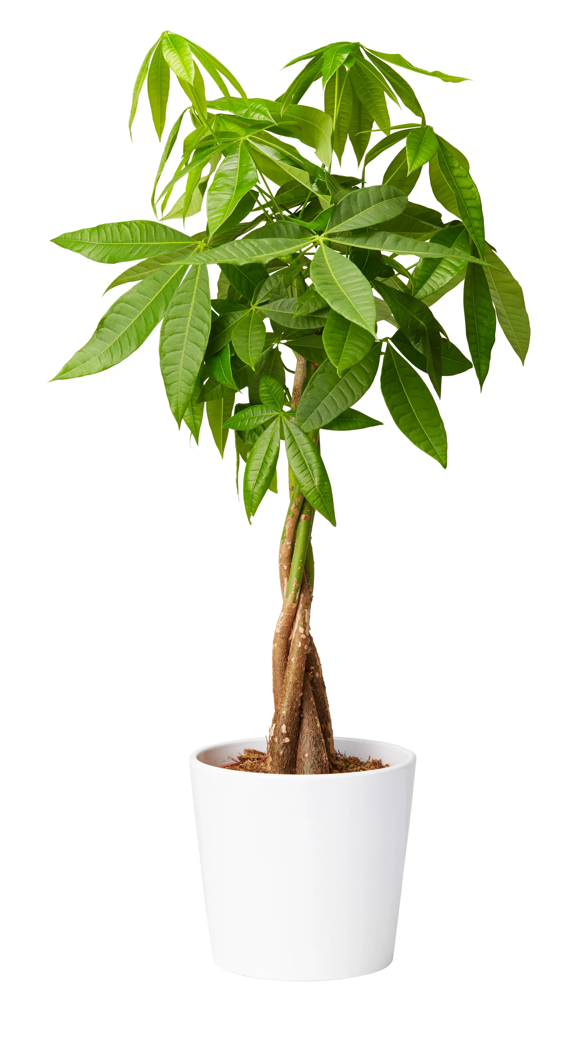 Harmoni pot D28,5 white