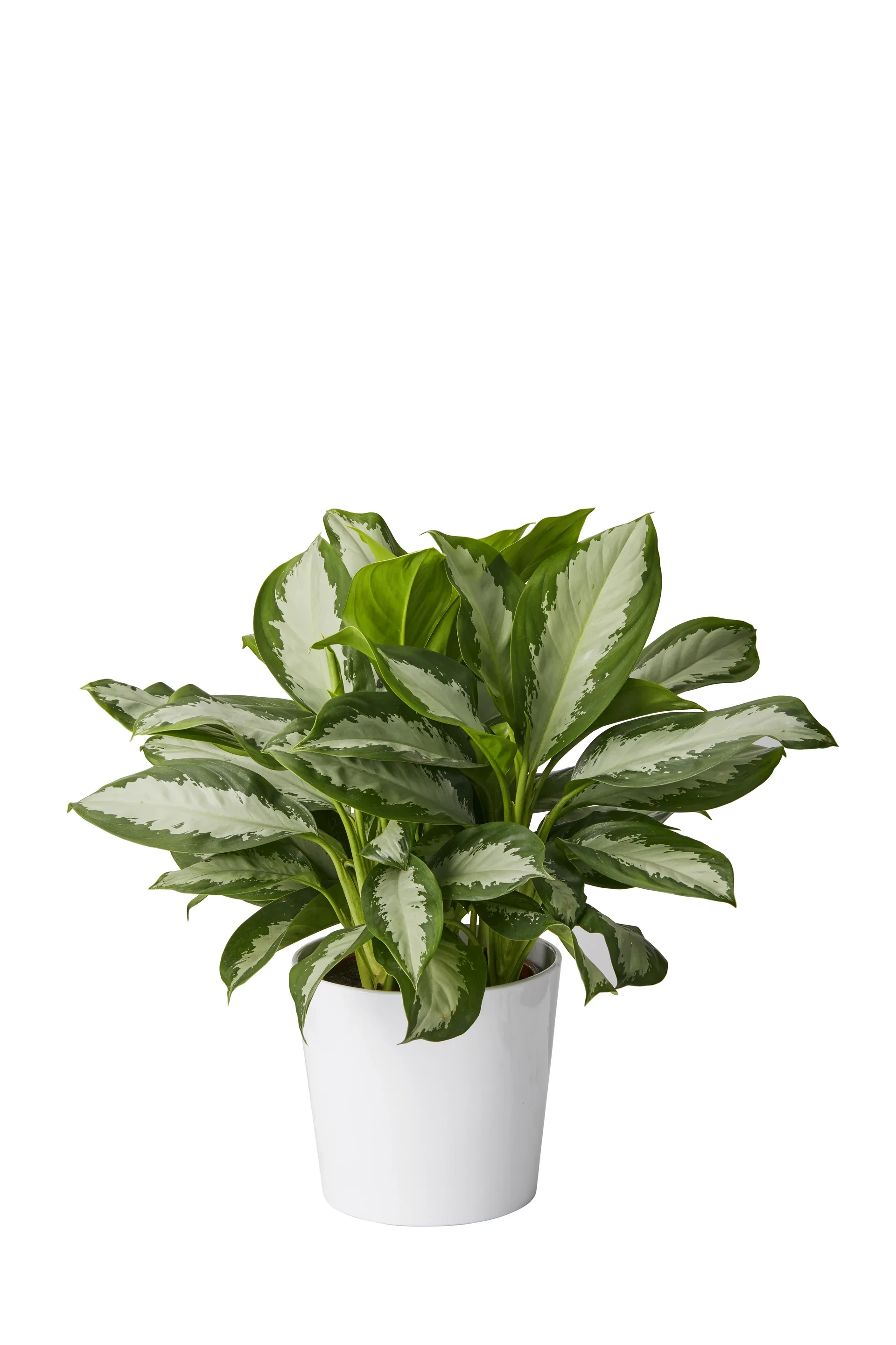 Harmoni pot D28,5 white