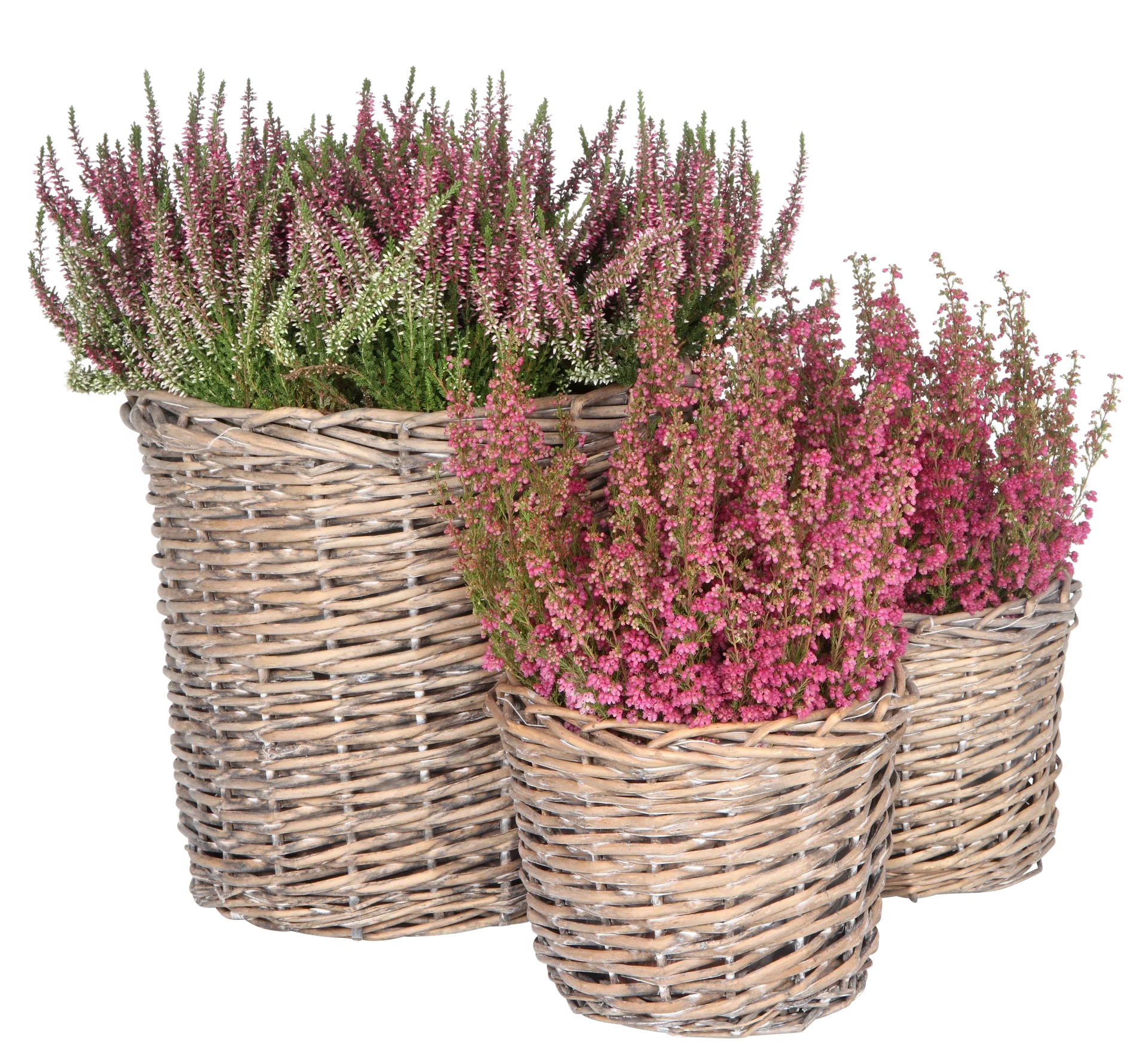 Edith basket D23 willow