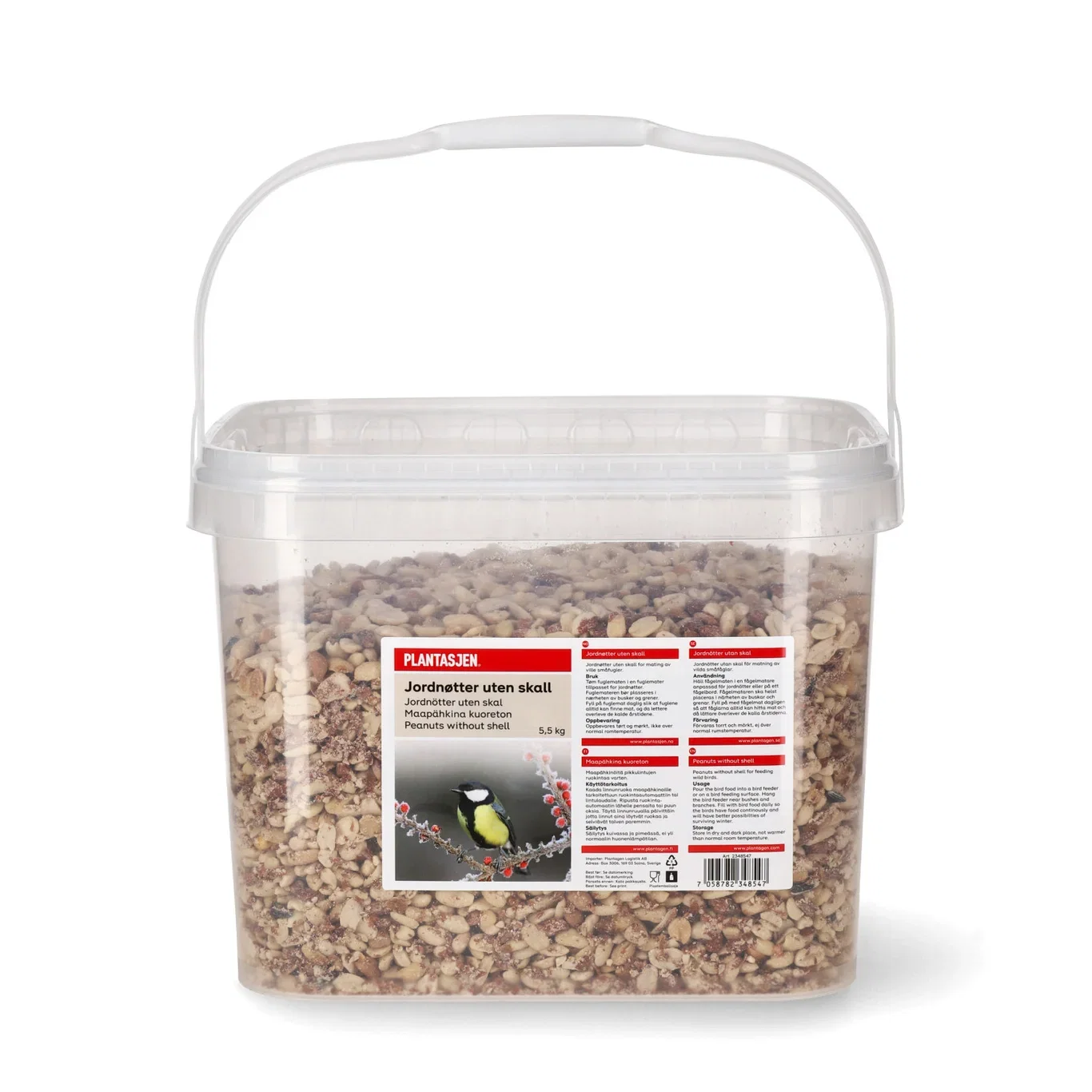 Peanuts 5.5kg in a bucket