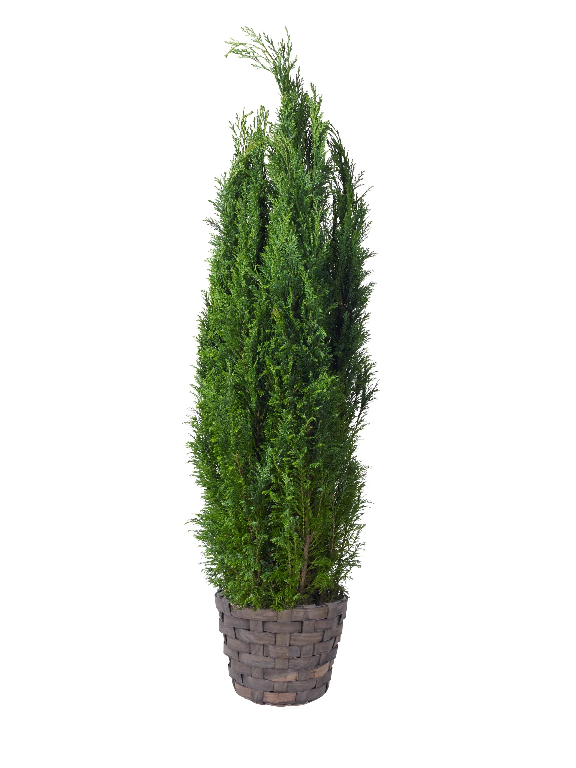 Basket wood D31 H28 grey
