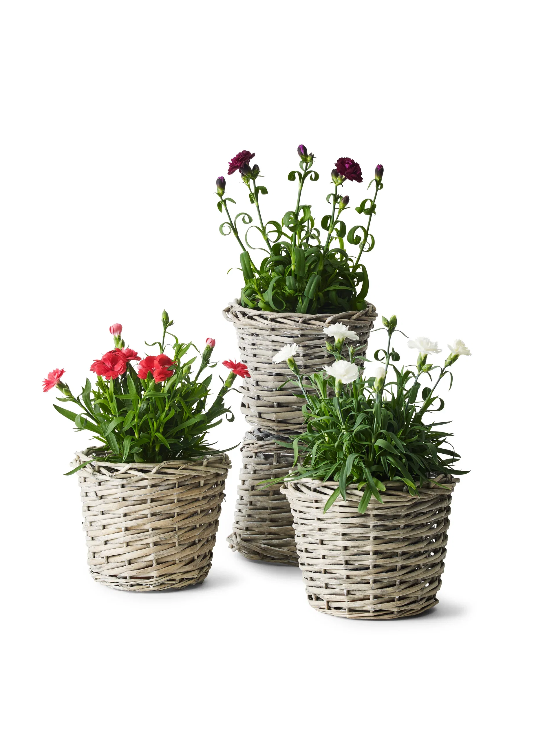 Edith basket D18 grey