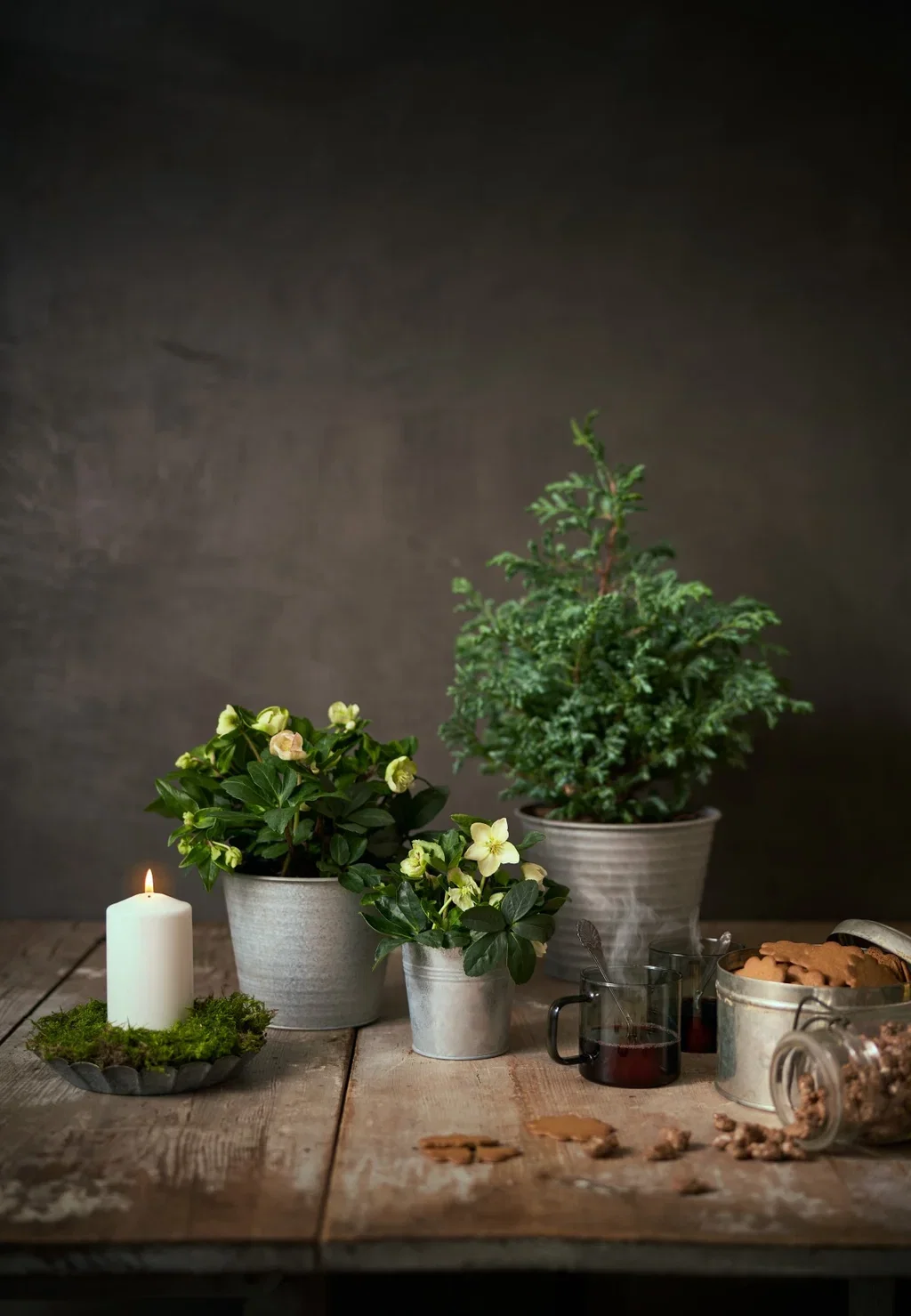 Jane pot D10 grey