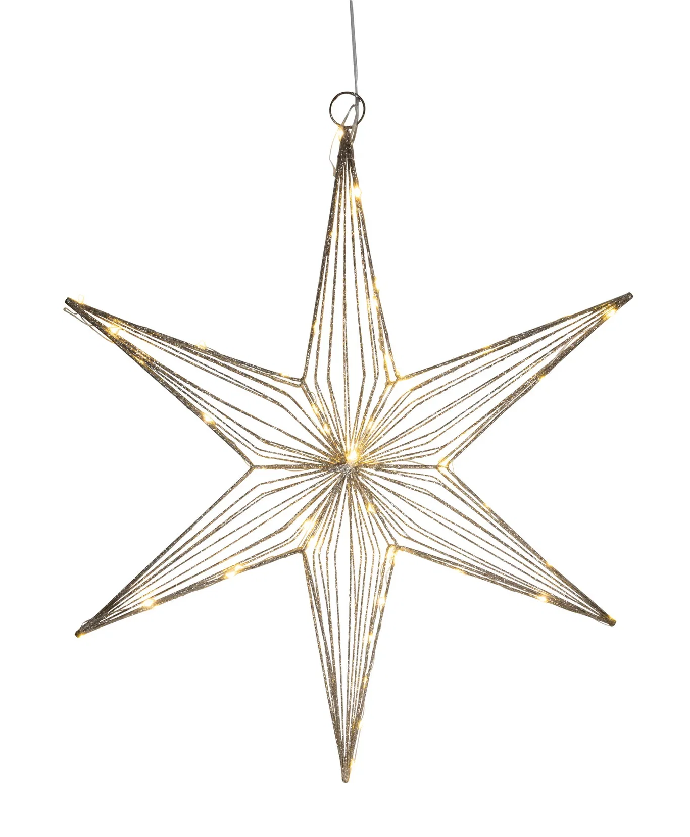 Advent star Champagne