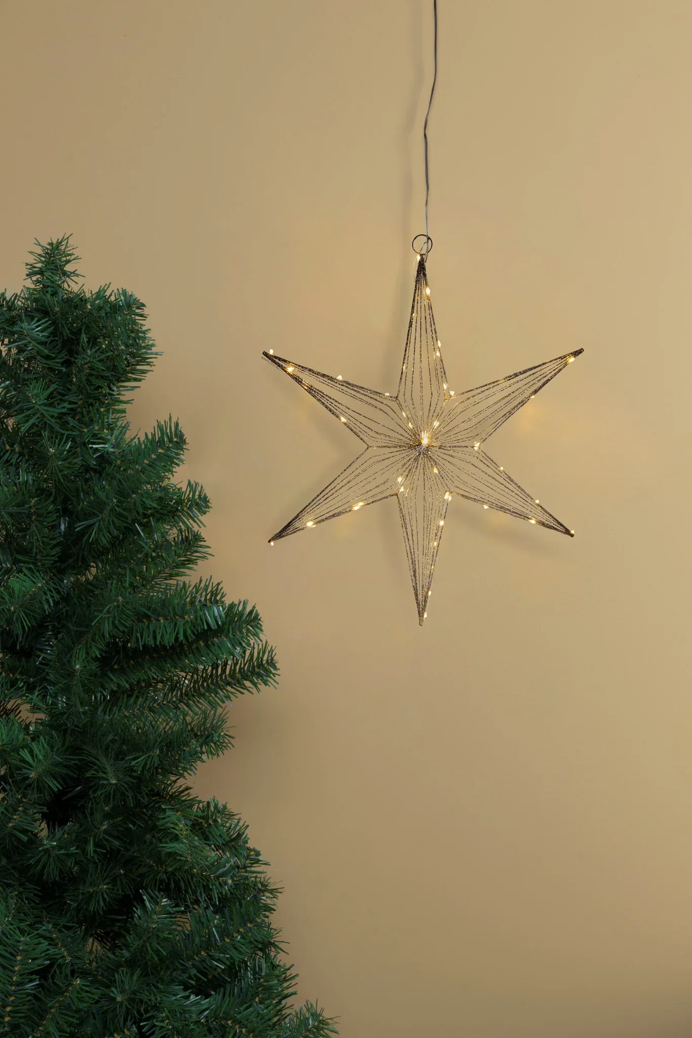 Advent star Champagne