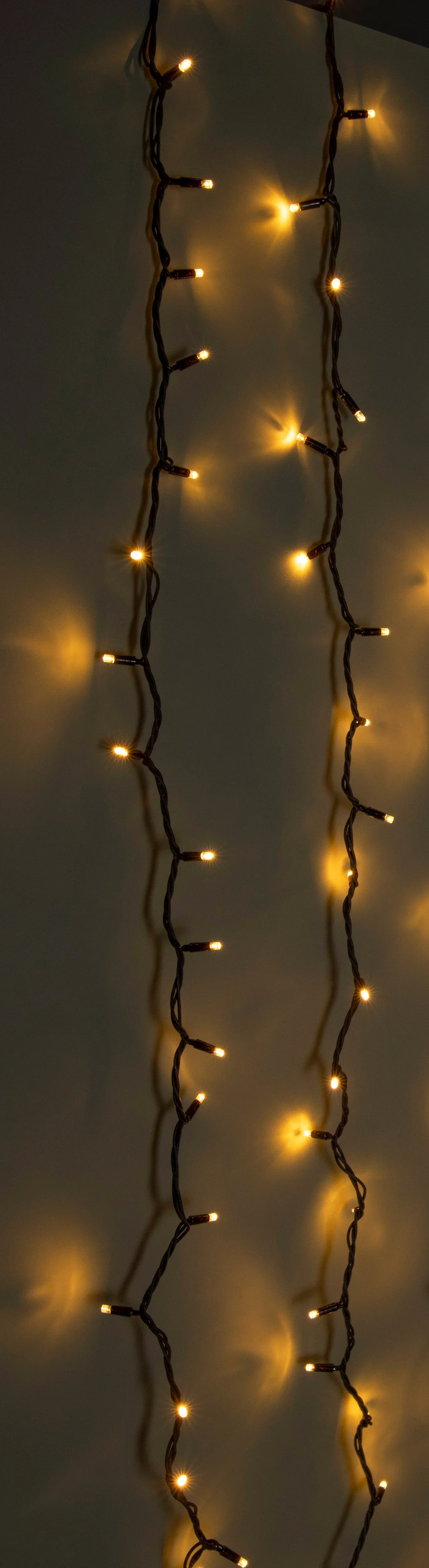 Light Chain Connect 