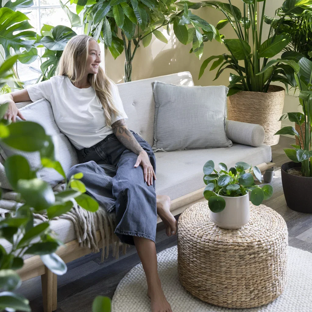 Here are the plant trends of 2025