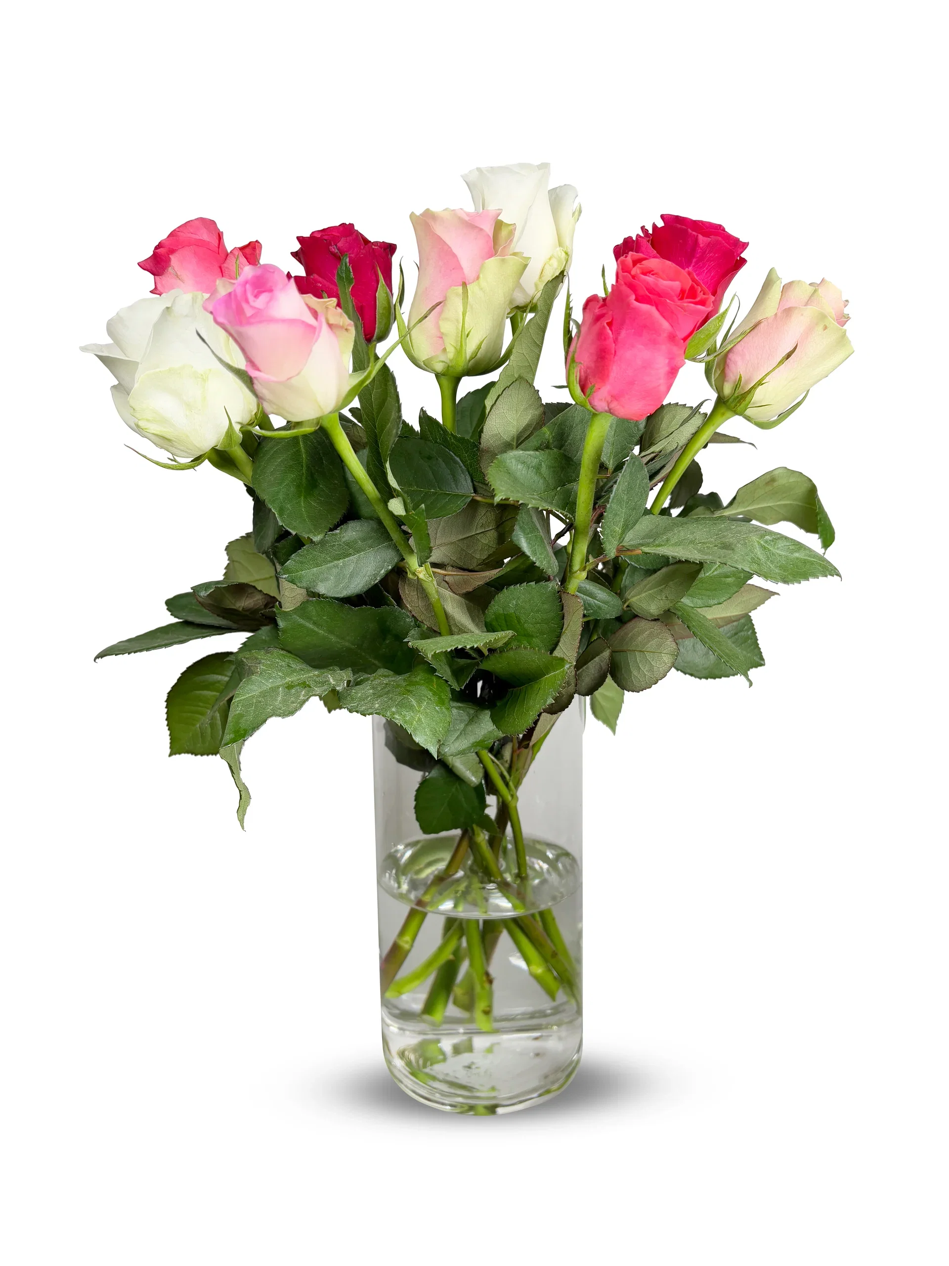 Roses 9-pack