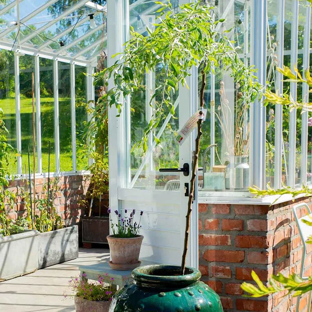 Garden visit: A taste of the Mediterranean at Anniken's
