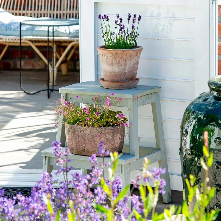 Garden visit: A taste of the Mediterranean at Anniken's