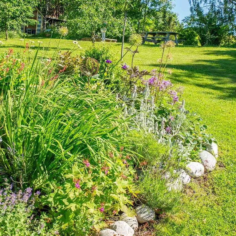 Garden visit: A taste of the Mediterranean at Anniken's