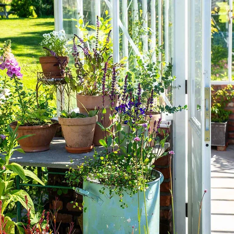 Garden visit: A taste of the Mediterranean at Anniken's