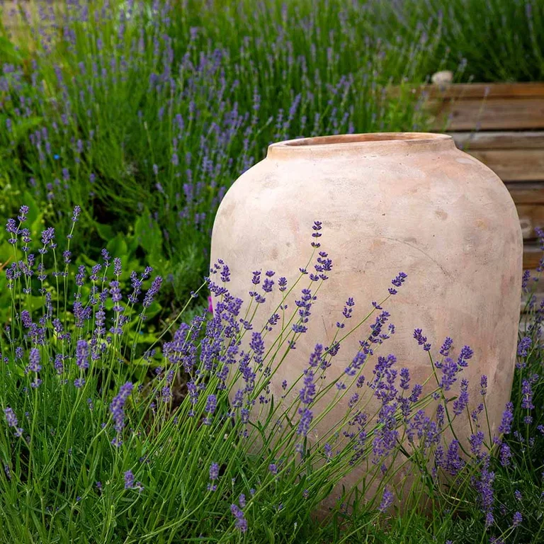 Garden visit: A taste of the Mediterranean at Anniken's