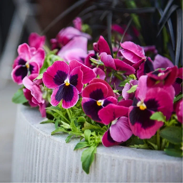 Spring is here – this is what you can do now