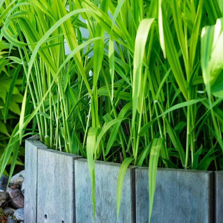 Garden visit: Nordic and minimalist style at Hanne's