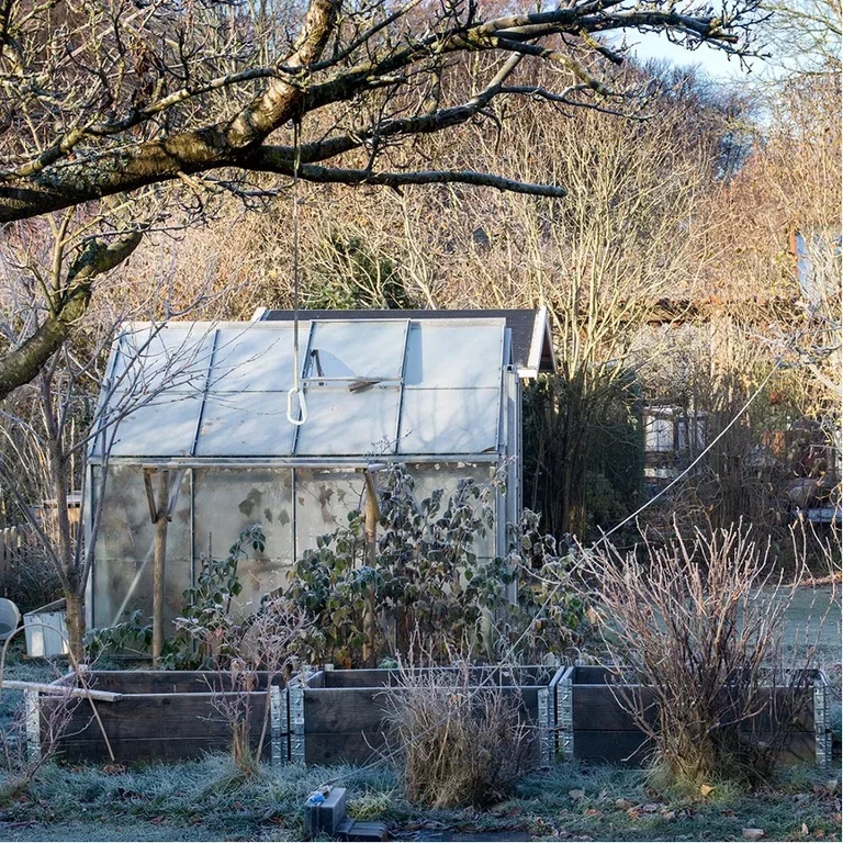 Greenhouses – everything you need to know