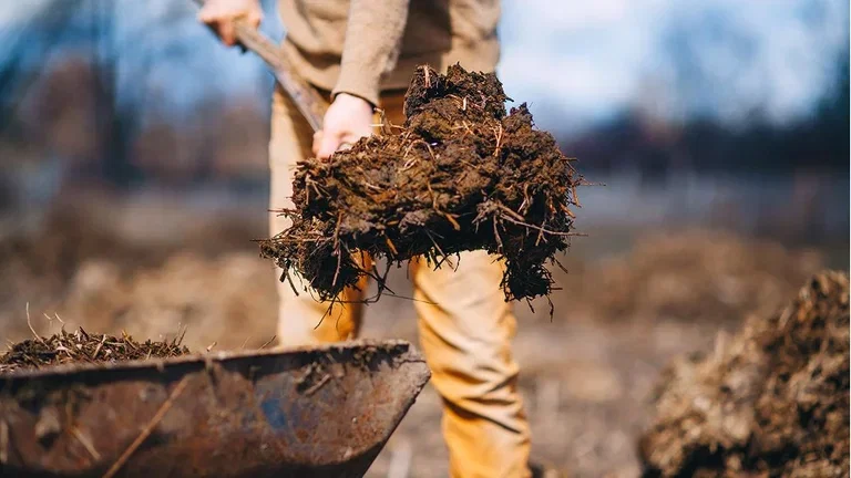 Animal manure – a great resource in the garden