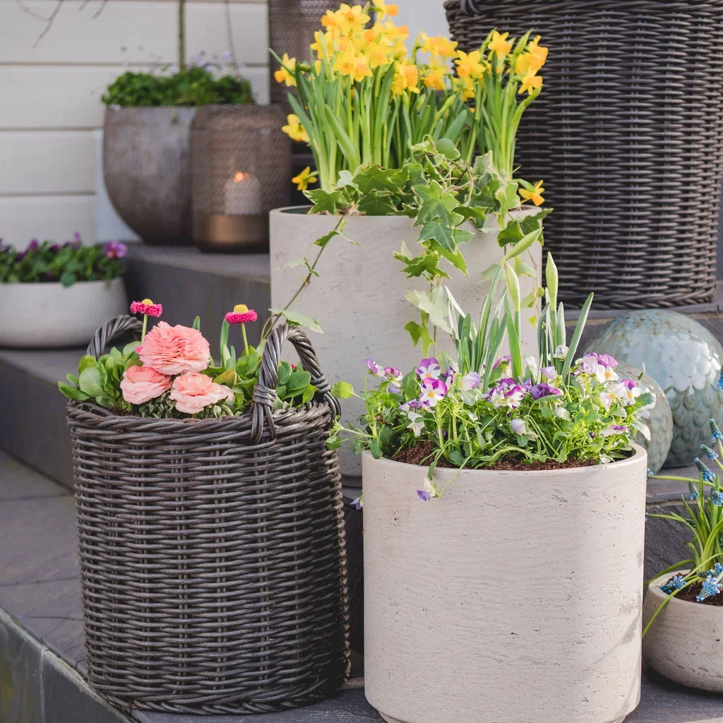 Spring flowers in pots – decorate your entrance for spring