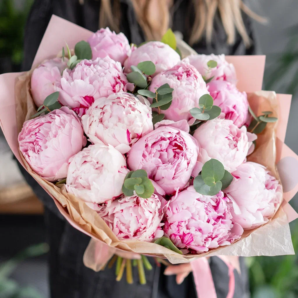 Peony – planting and care