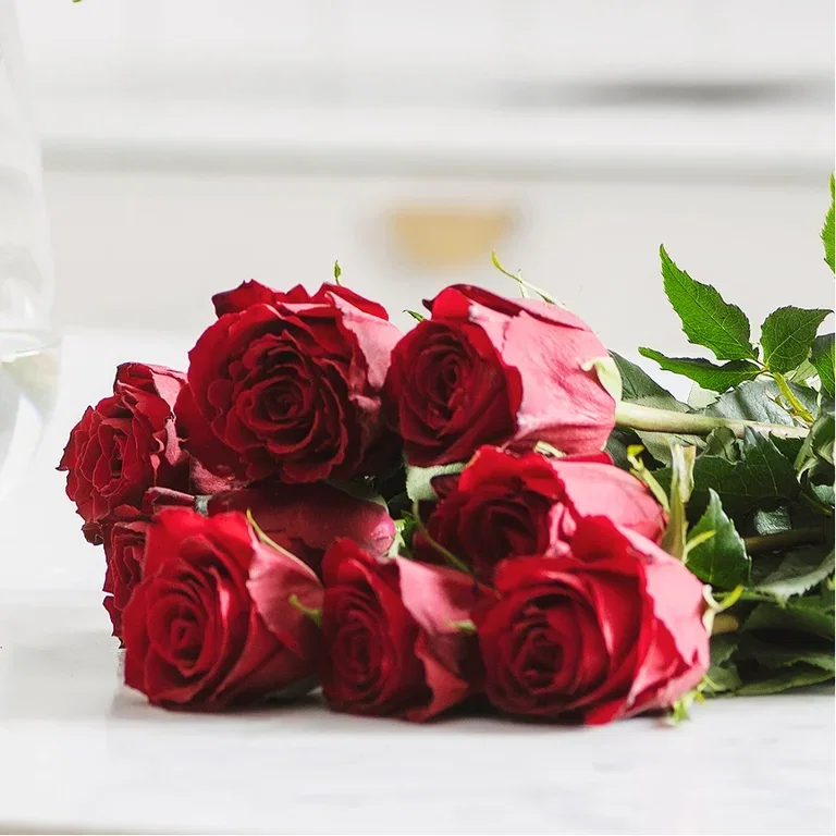 Plantasjen's roses – from production to store