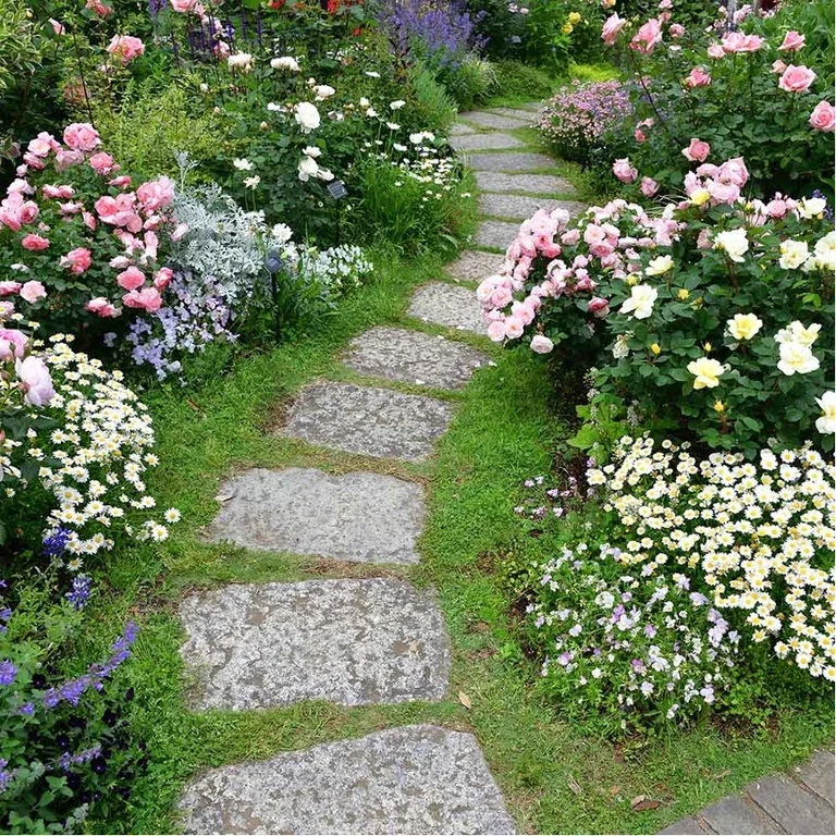 Creating a rose garden – how to succeed