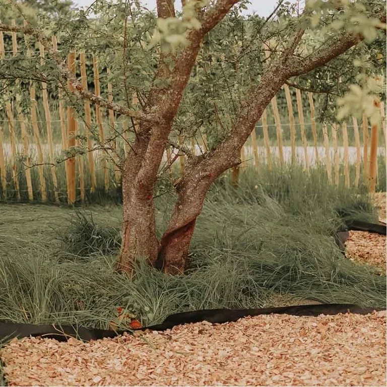 No-dig perennial bed – create a new bed without digging