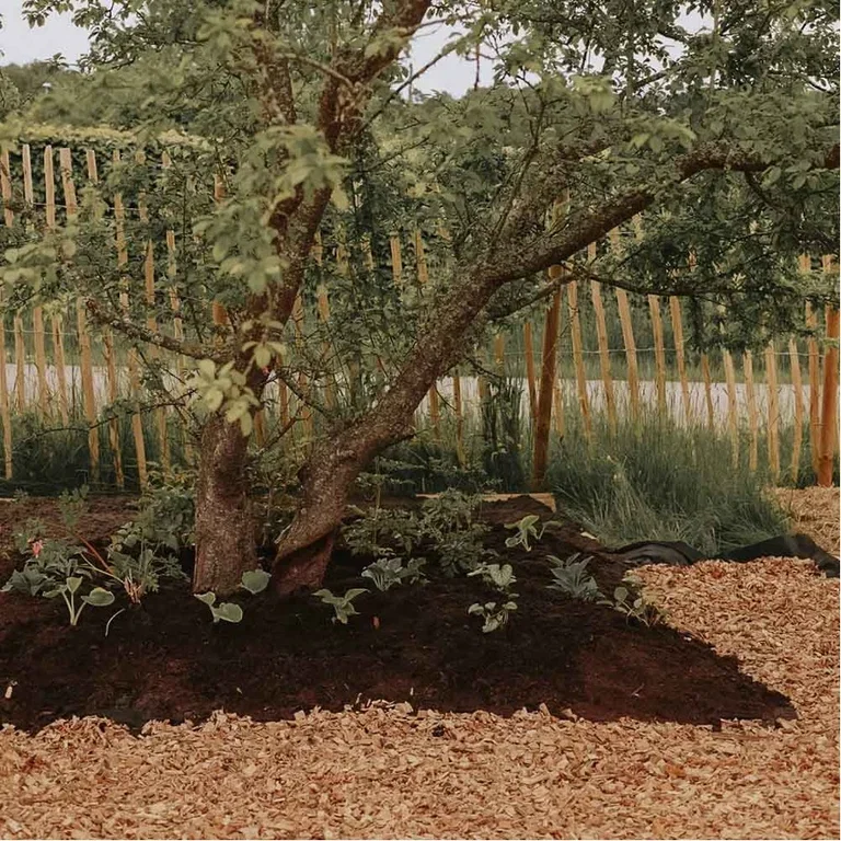 No-dig perennial bed – create a new bed without digging