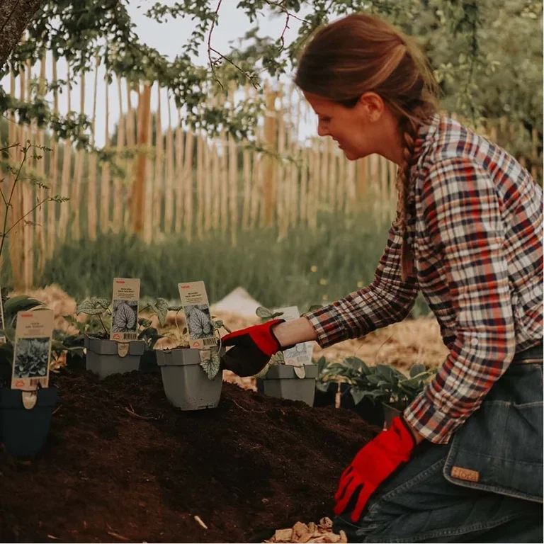 No-dig perennial bed – create a new bed without digging