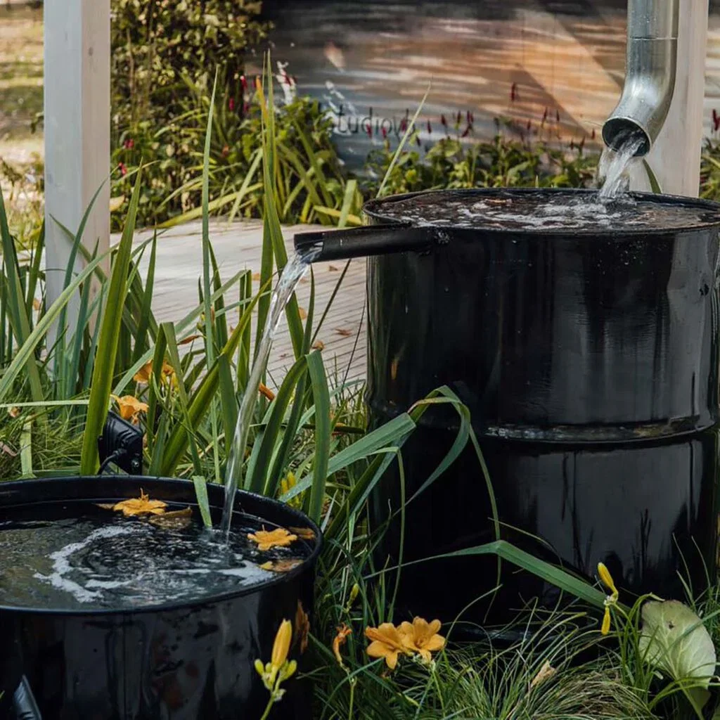 Water with rainwater – good for both the environment and your wallet