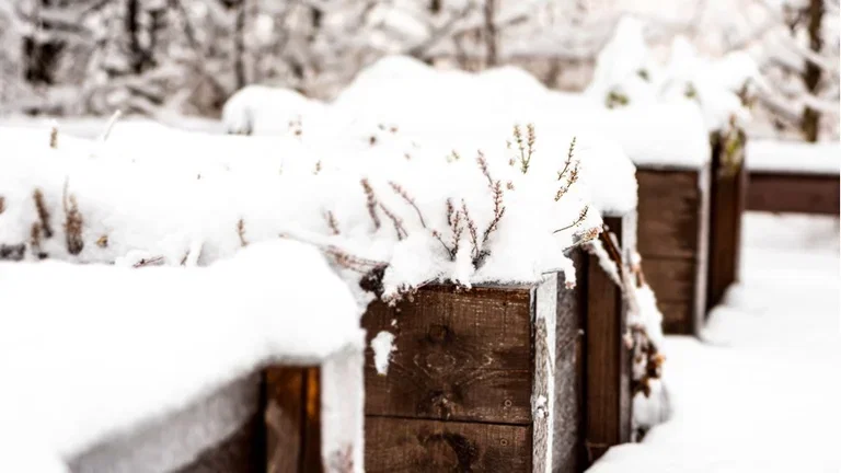 February - this is what you can sow and cultivate