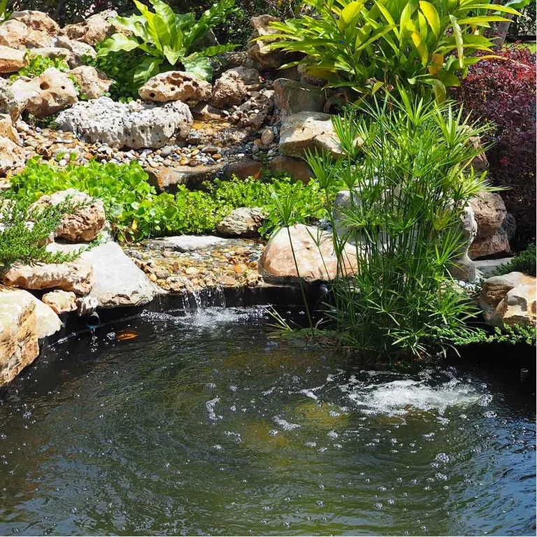 Making a garden pond – how to build a pond in the garden