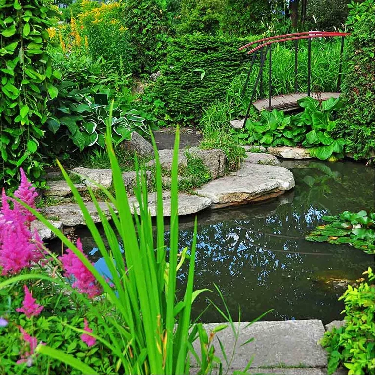Making a garden pond – how to build a pond in the garden