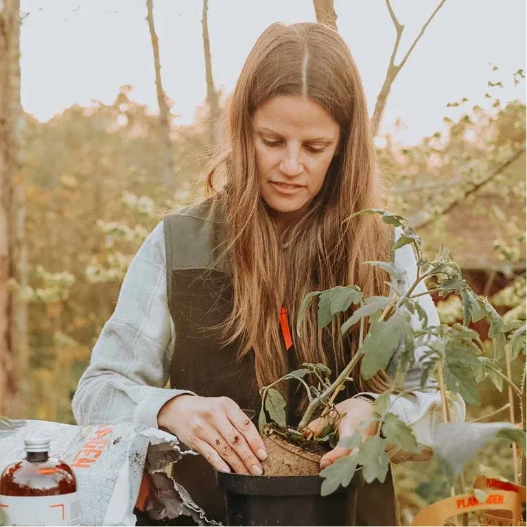 Guaranteed gardening joy with ready-made vegetable plants
