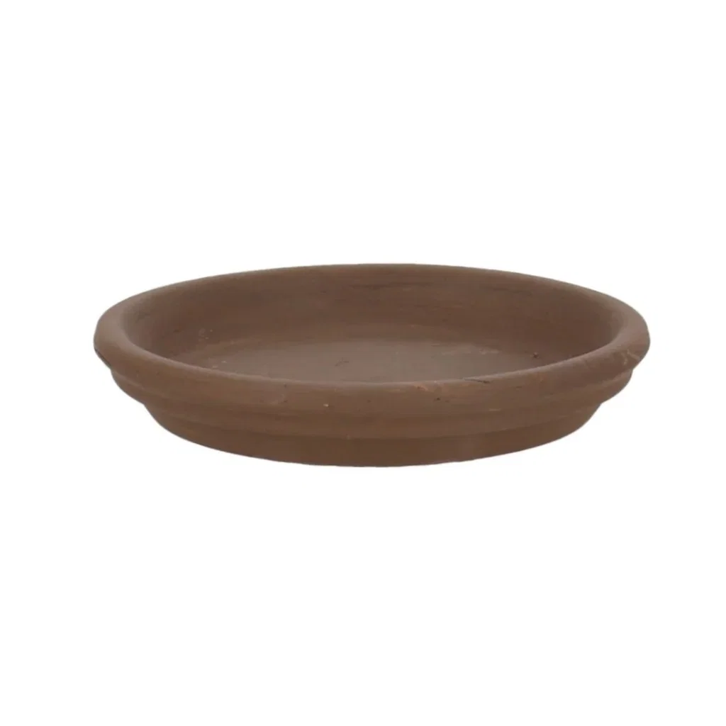 Saucer Aromi