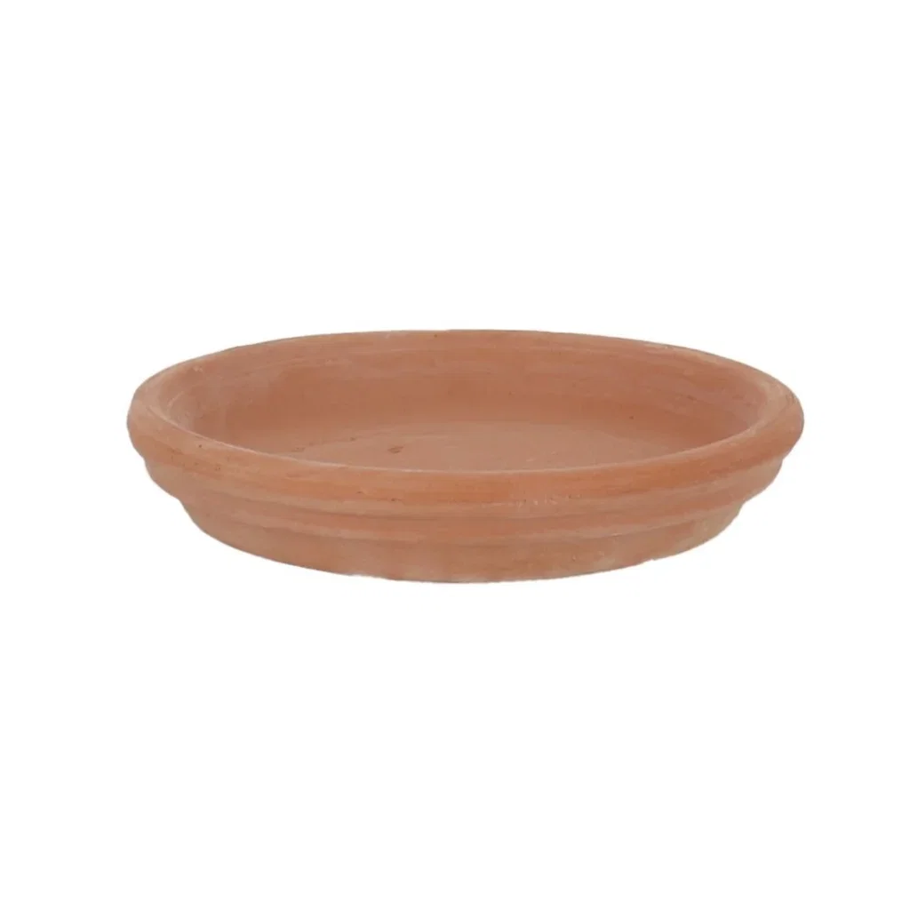 Saucer Aromi 
