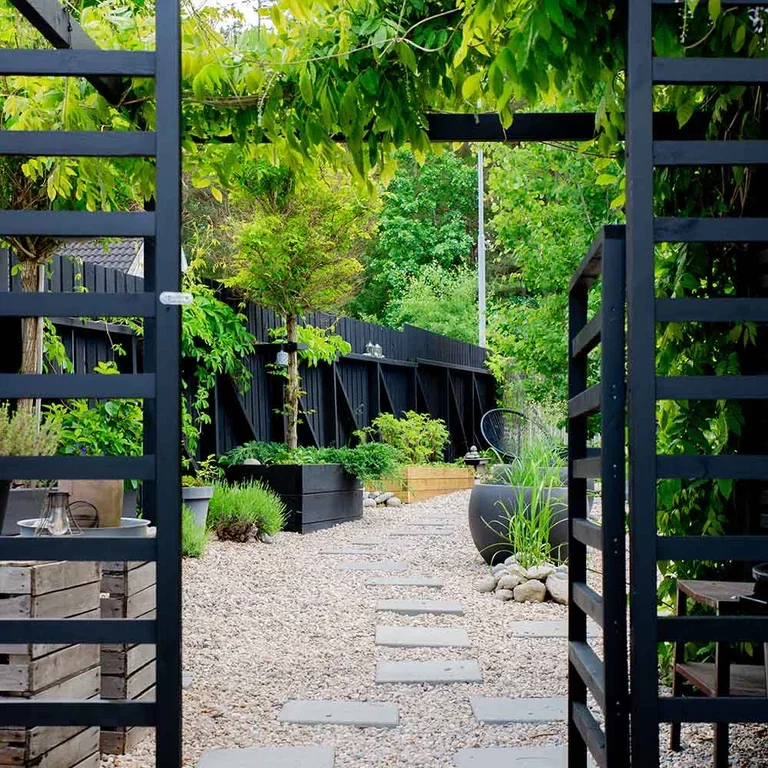 Garden visit: Japandi garden at Sylvia's