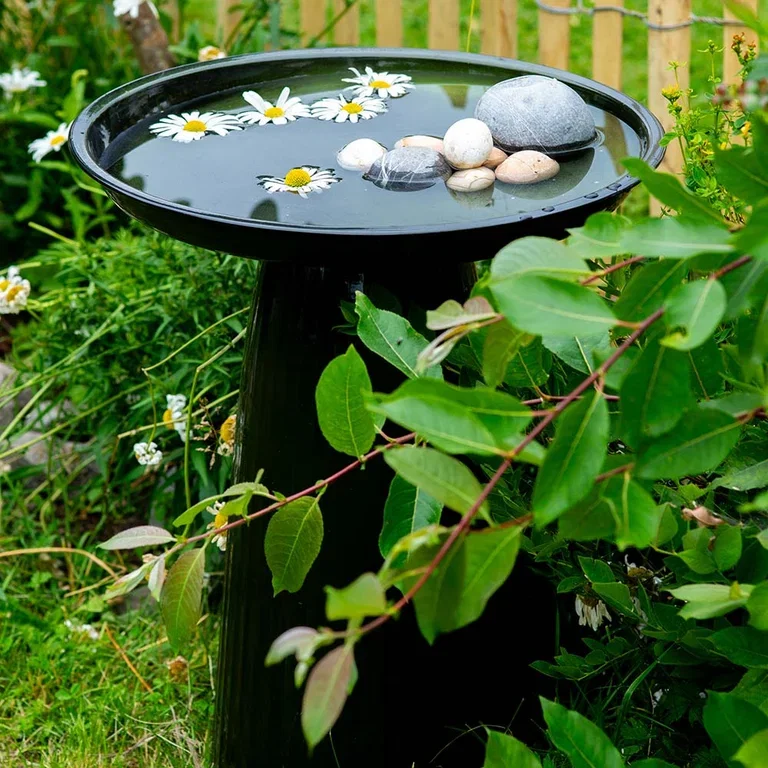 Garden visit: Tanja's down-to-earth and edible garden