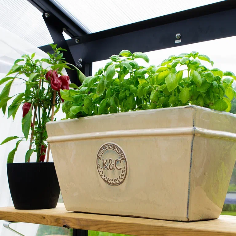 Garden visit: Tanja's down-to-earth and edible garden