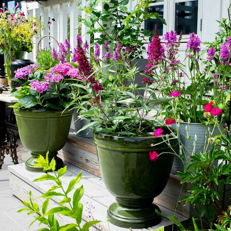 Garden visit: Romantic and abundant garden at Mette's