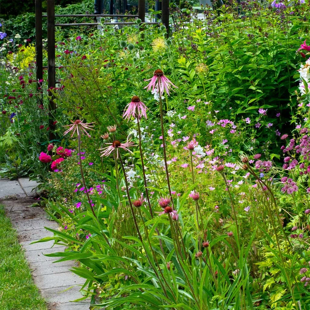 Garden visit: Romantic and abundant garden at Mette's