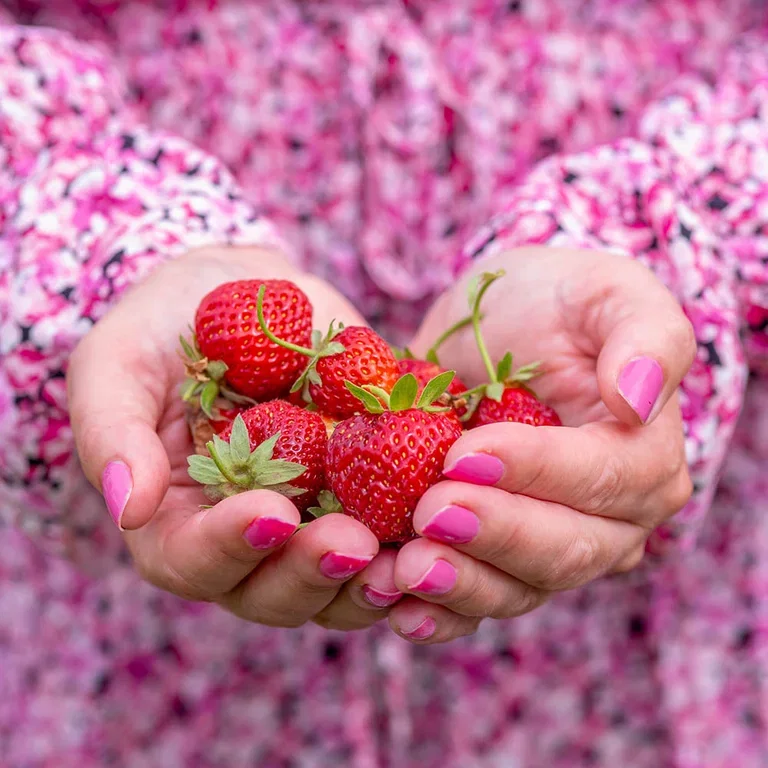 Garden visit: Romantic and abundant garden at Mette's