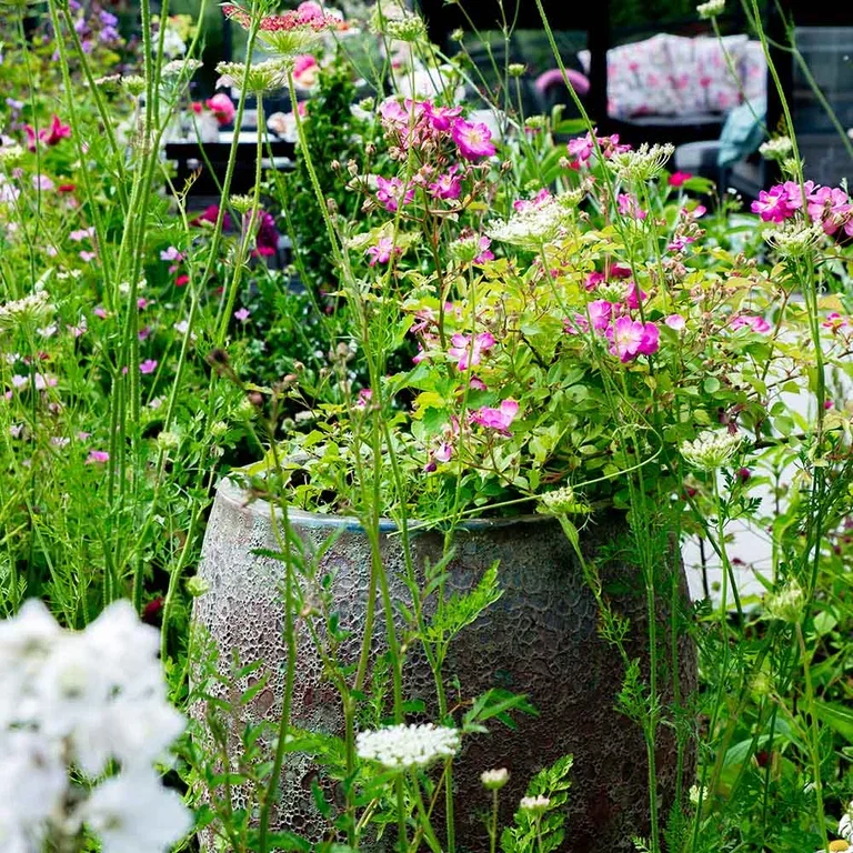 Garden visit: Romantic and abundant garden at Mette's