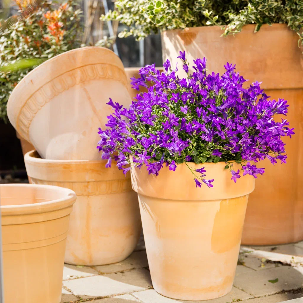 Vaso pot D25 terracotta