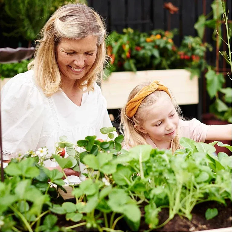 Garden calendar for the summer – what you can do in the garden now
