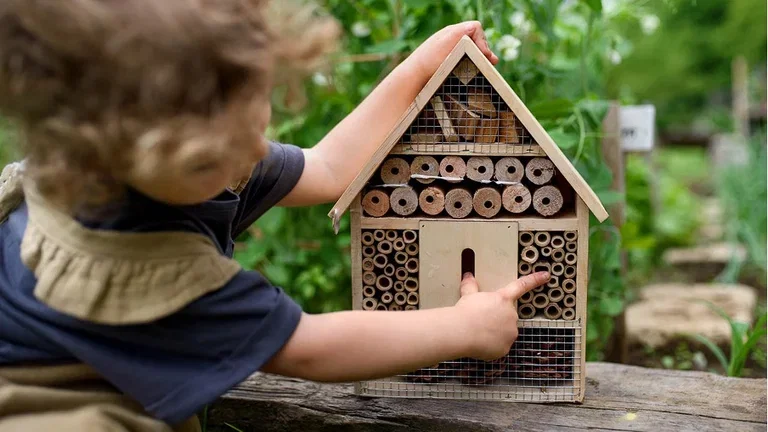 6 tips for an environmentally friendly garden