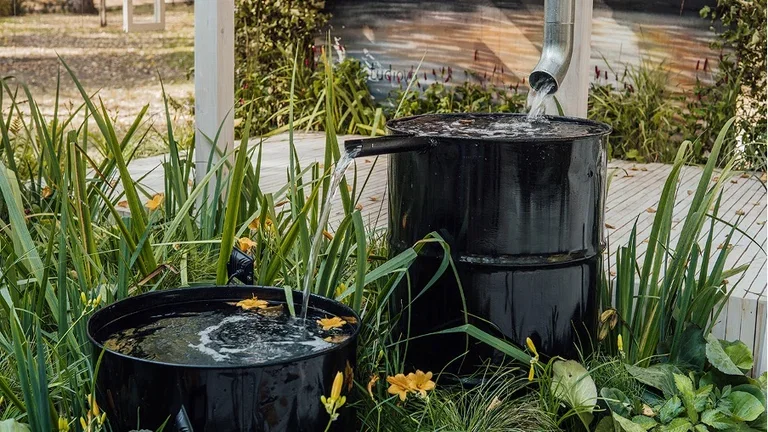 6 tips for an environmentally friendly garden