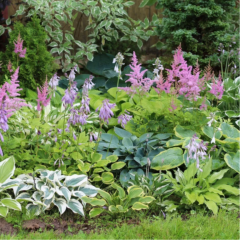 Flower beds – Four ready-made designs with plant suggestions