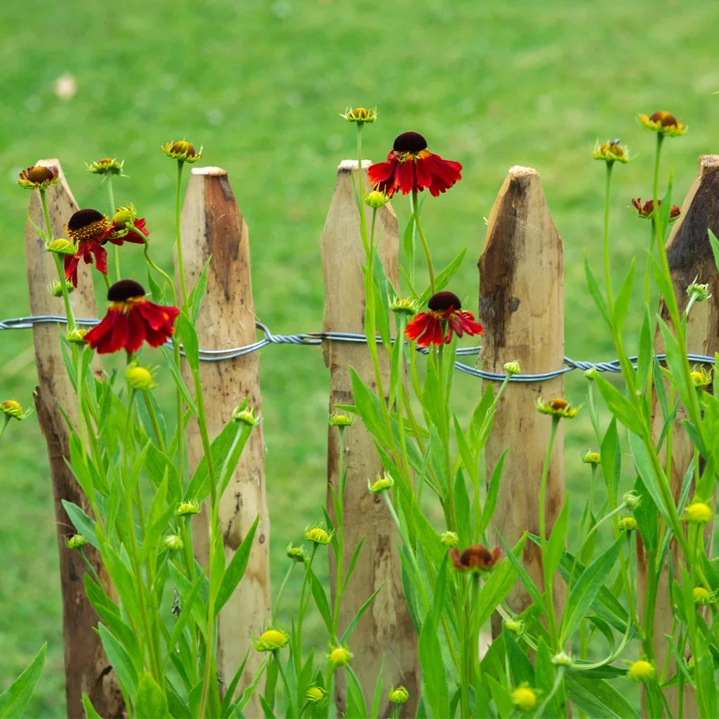 Garden visit: Tanja's down-to-earth and edible garden