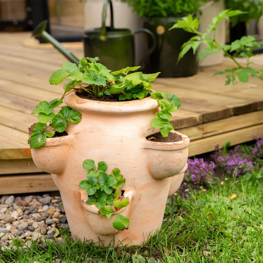 Garden visit: Tanja's down-to-earth and edible garden